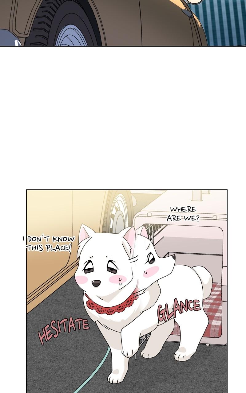 The Dog Diaries Chap 179 - Next Chap 180