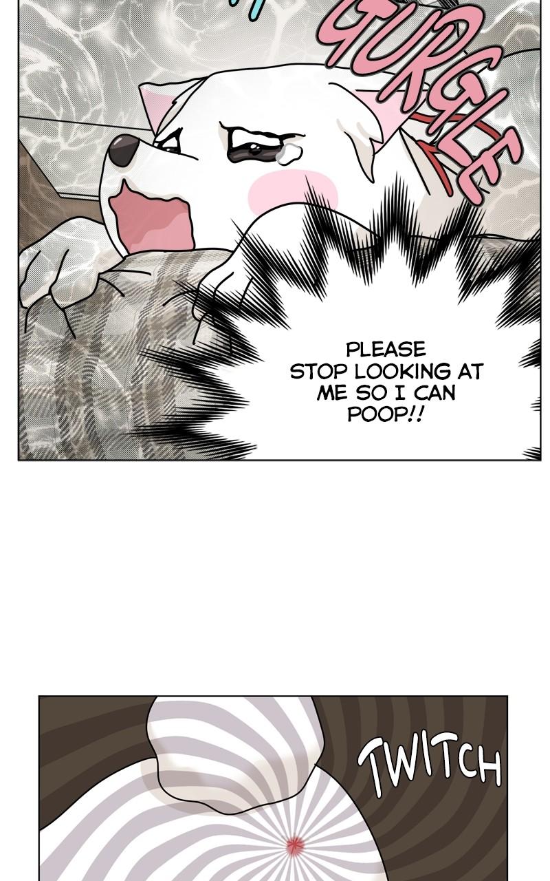 The Dog Diaries Chap 181 - Next Chap 182
