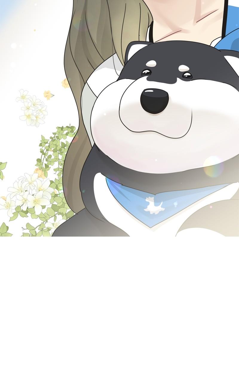 The Dog Diaries Chap 196 - Next Chap 197