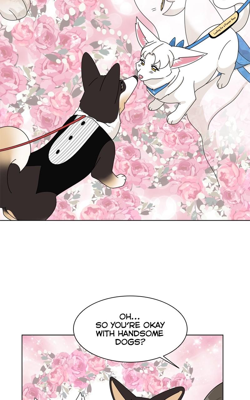 The Dog Diaries Chap 197 - Next Chap 198