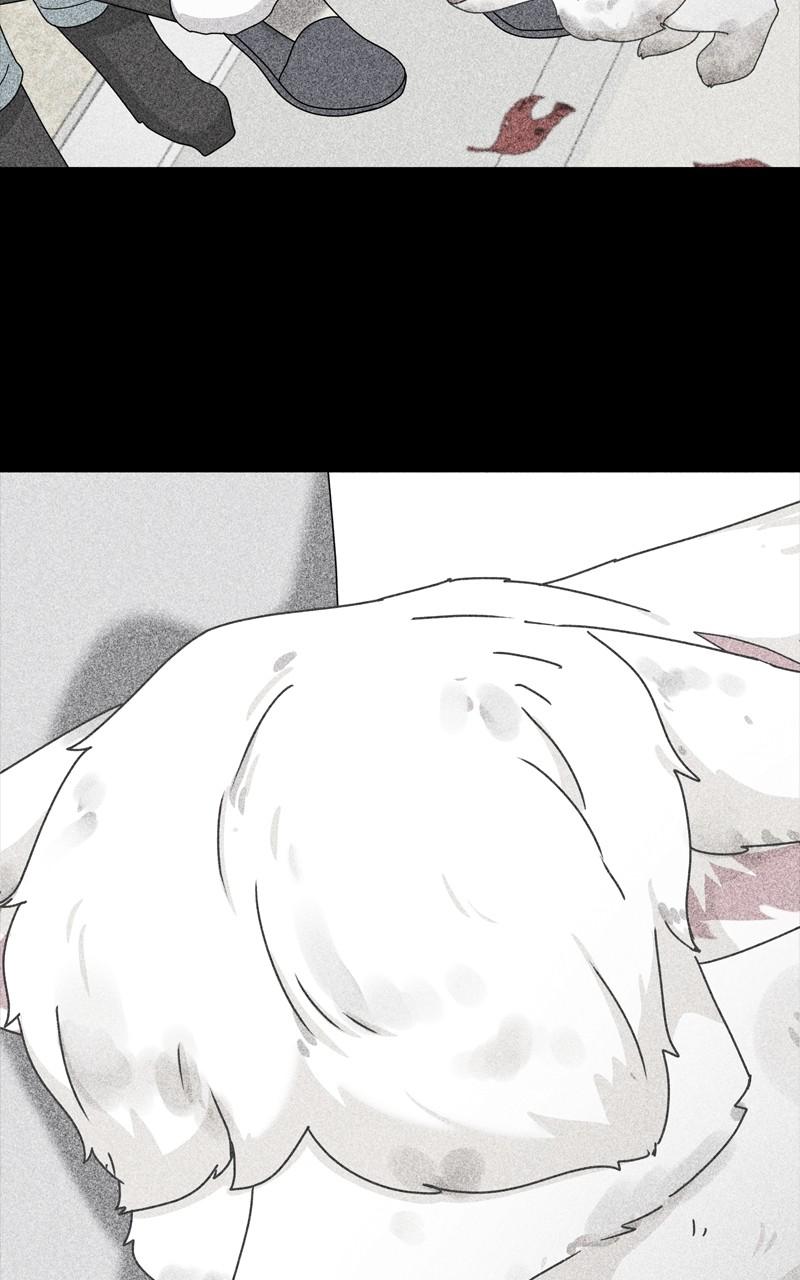 The Dog Diaries Chap 188 - Next Chap 189