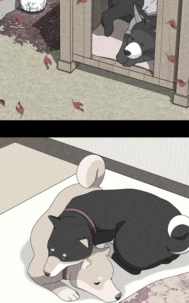 The Dog Diaries Chap 188 - Next Chap 189