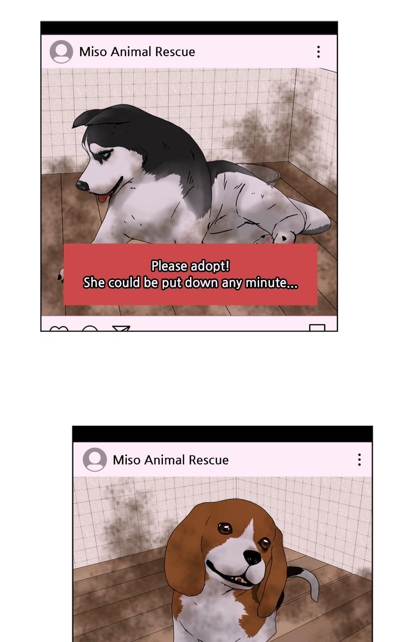The Dog Diaries Chap 188 - Next Chap 189