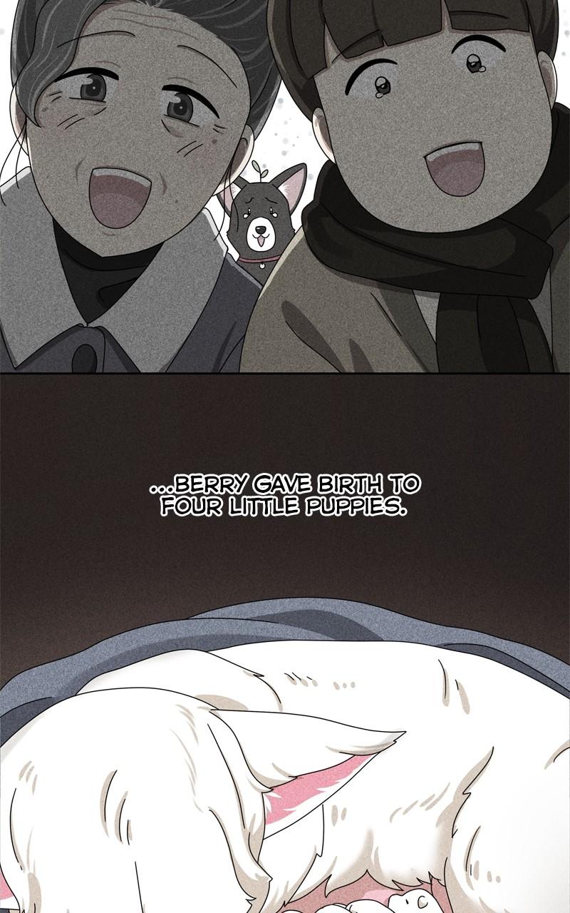 The Dog Diaries Chap 189 - Next Chap 190