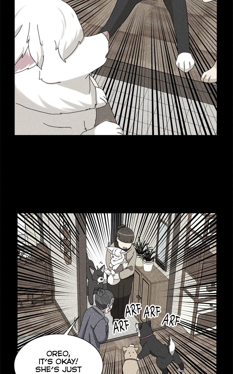 The Dog Diaries Chap 189 - Next Chap 190