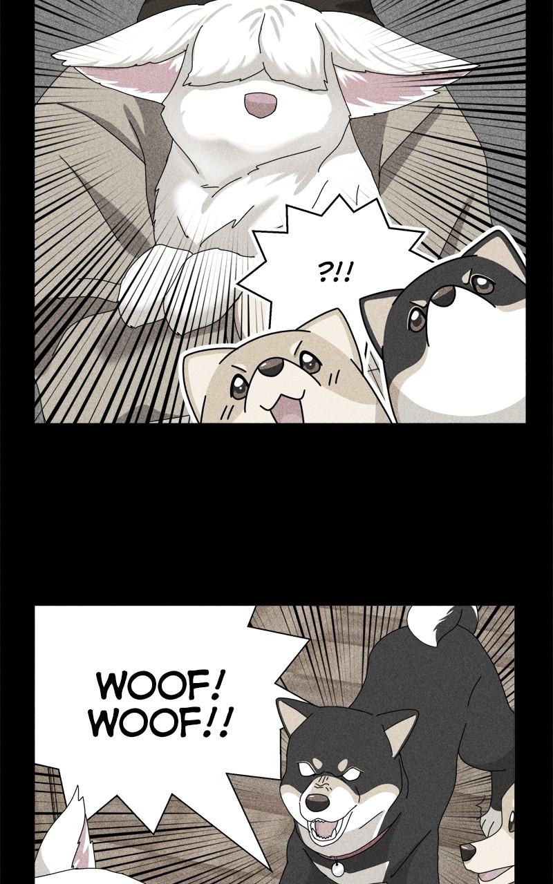 The Dog Diaries Chap 189 - Next Chap 190