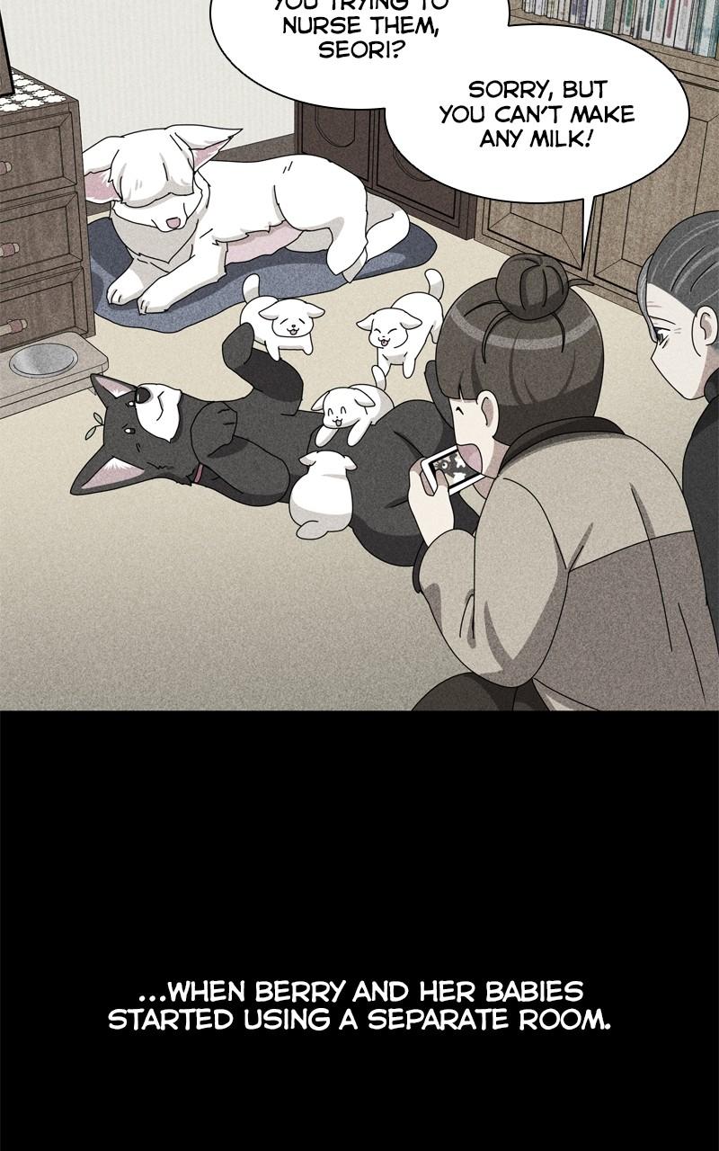 The Dog Diaries Chap 189 - Next Chap 190