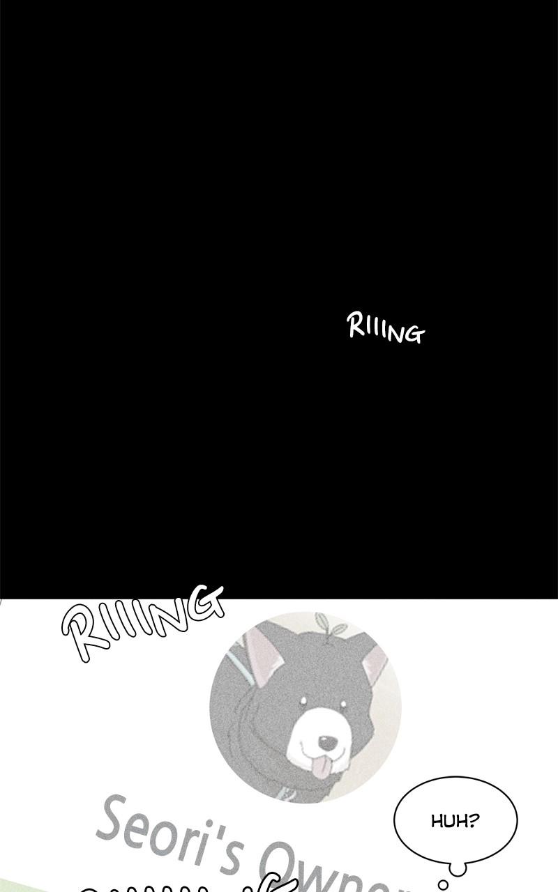 The Dog Diaries Chap 189 - Next Chap 190