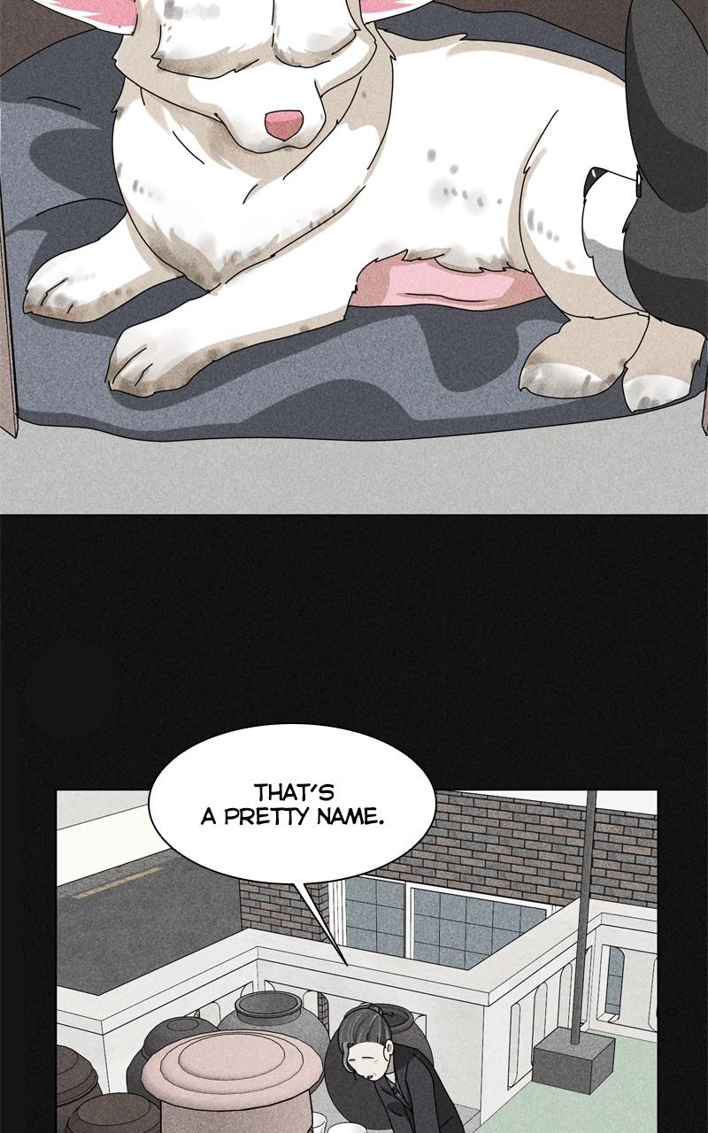 The Dog Diaries Chap 189 - Next Chap 190