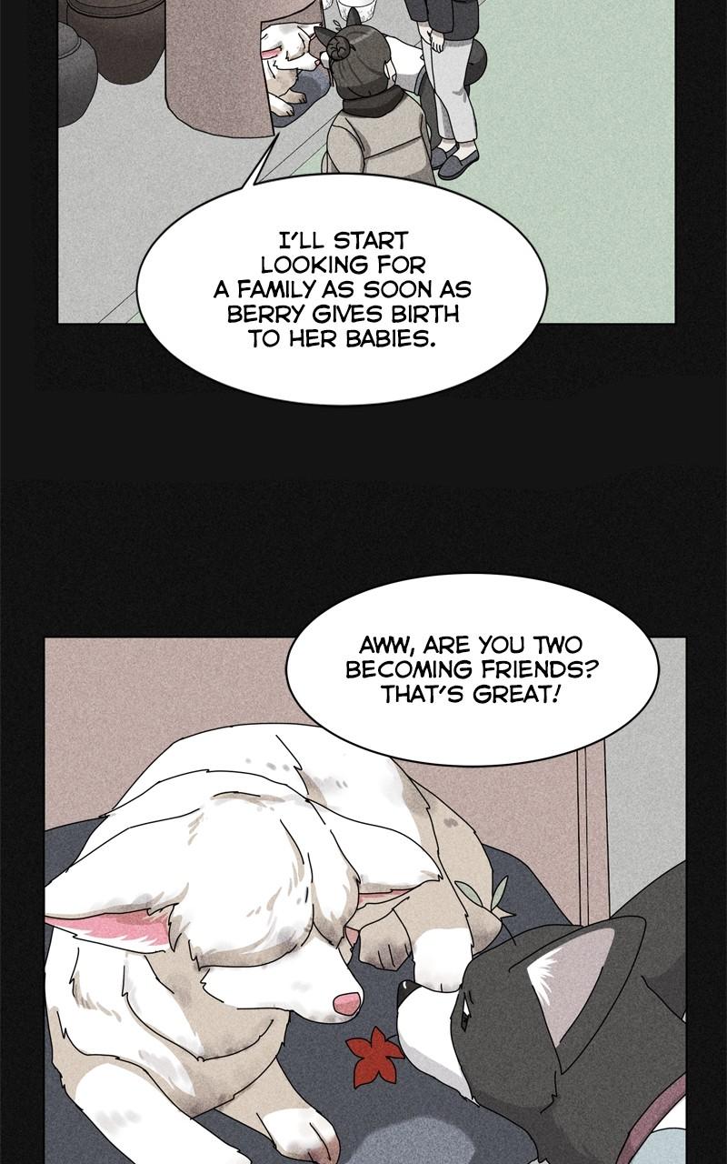 The Dog Diaries Chap 189 - Next Chap 190