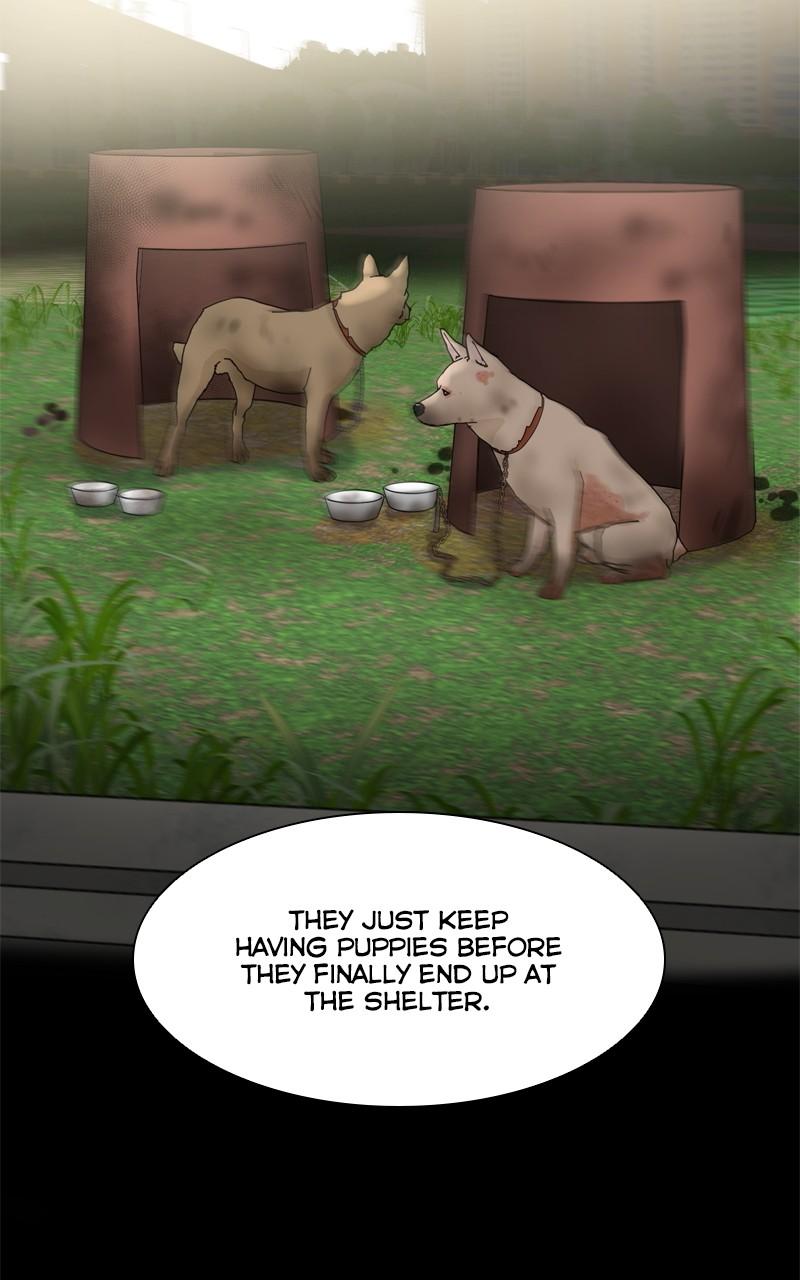 The Dog Diaries Chap 205 - Next Chap 206