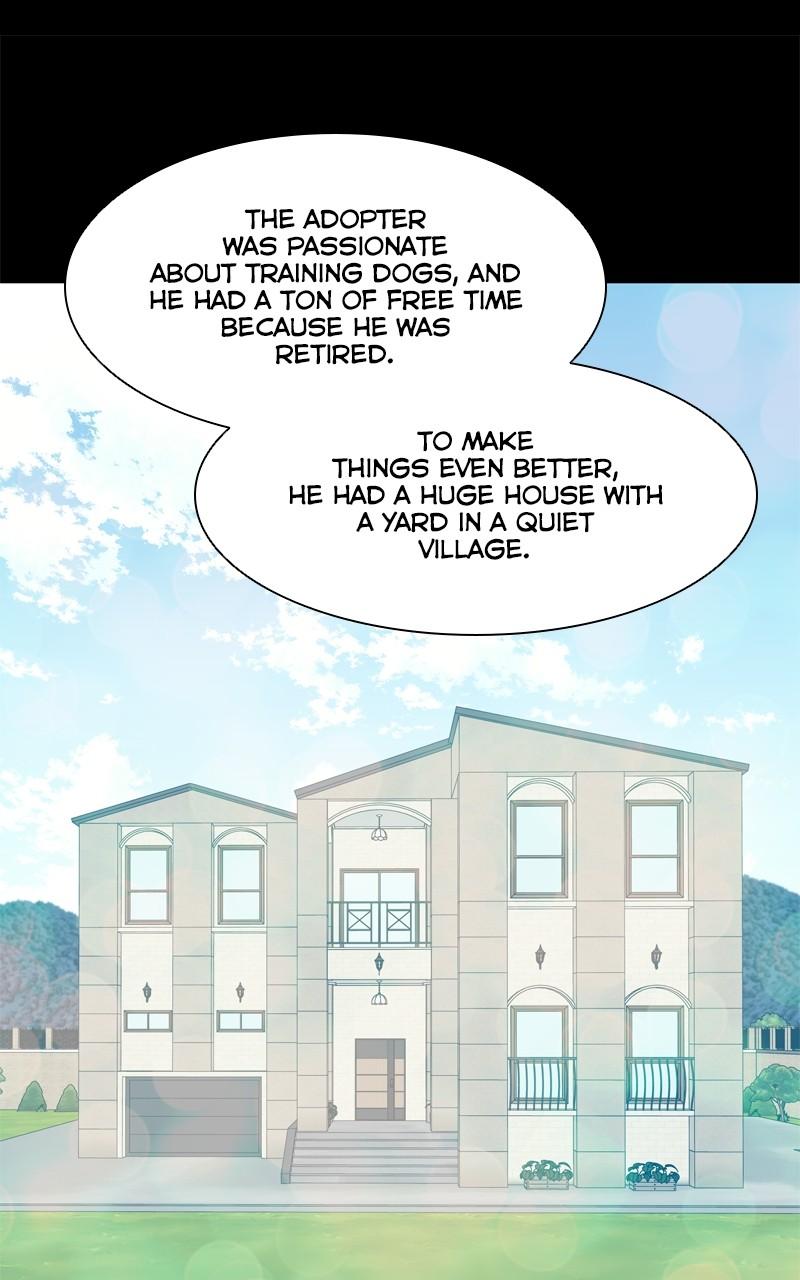 The Dog Diaries Chap 202 - Next Chap 203