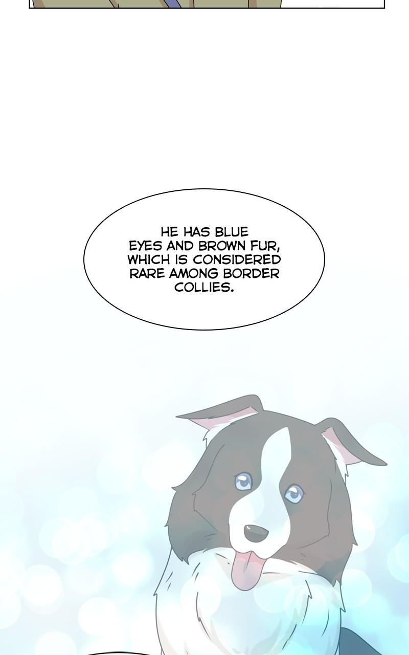 The Dog Diaries Chap 202 - Next Chap 203