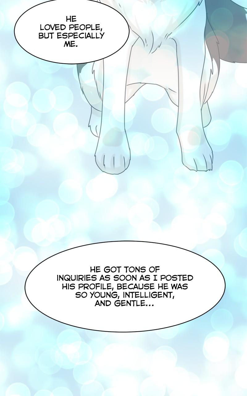 The Dog Diaries Chap 202 - Next Chap 203