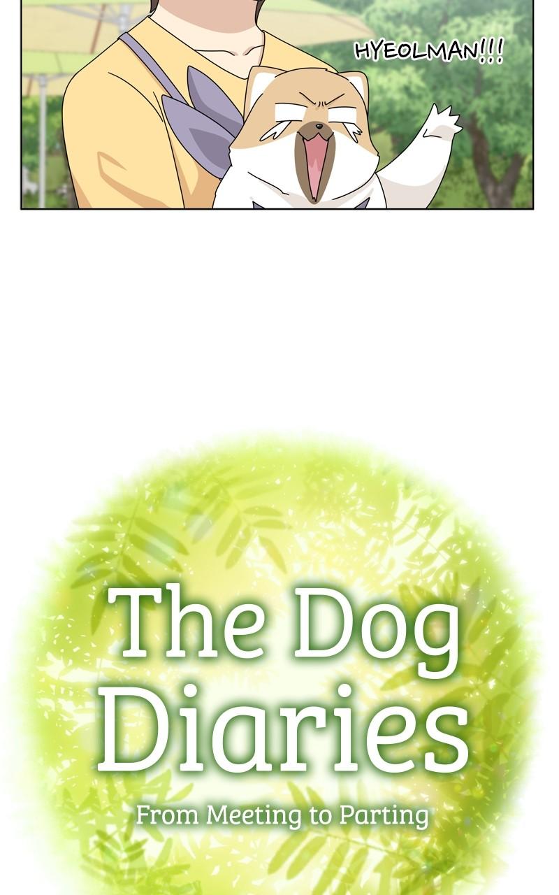 The Dog Diaries Chap 202 - Next Chap 203