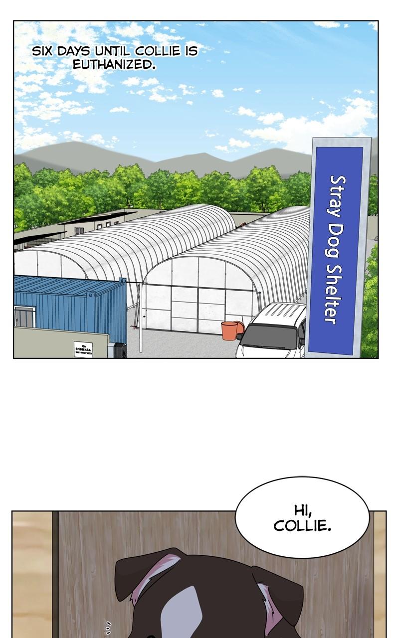 The Dog Diaries Chap 203 - Next Chap 204