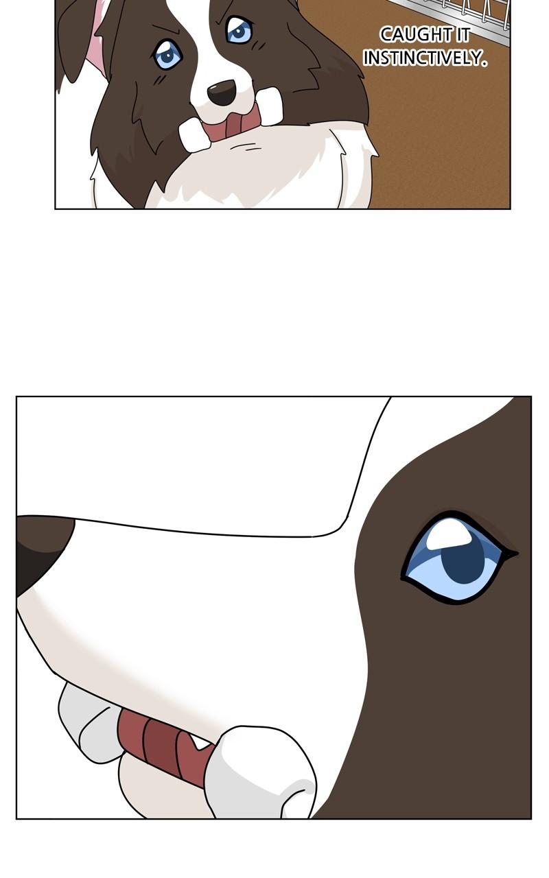 The Dog Diaries Chap 203 - Next Chap 204