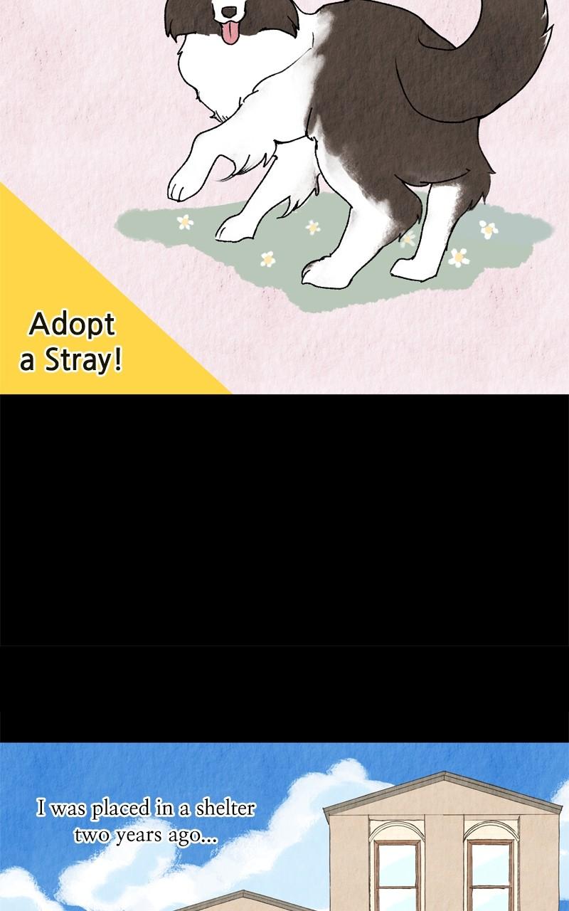 The Dog Diaries Chap 203 - Next Chap 204