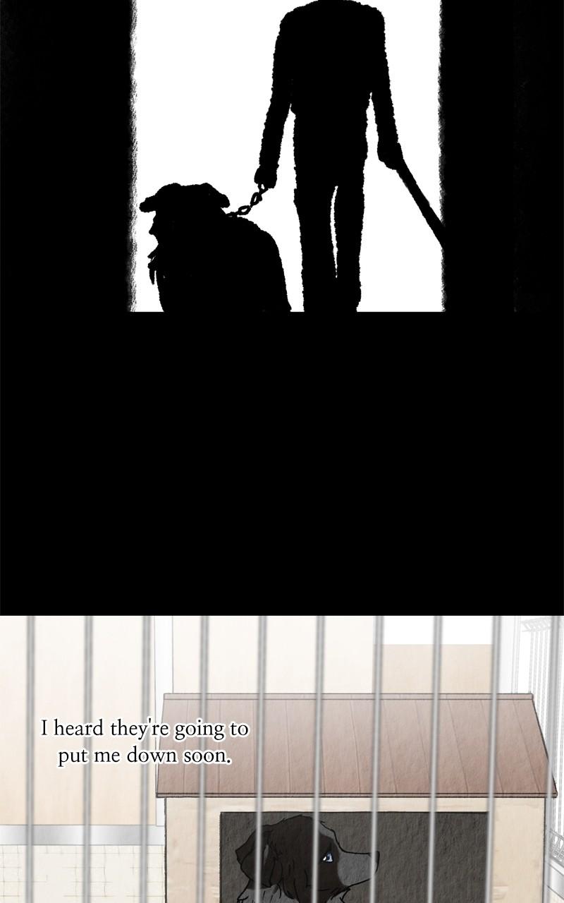 The Dog Diaries Chap 203 - Next Chap 204