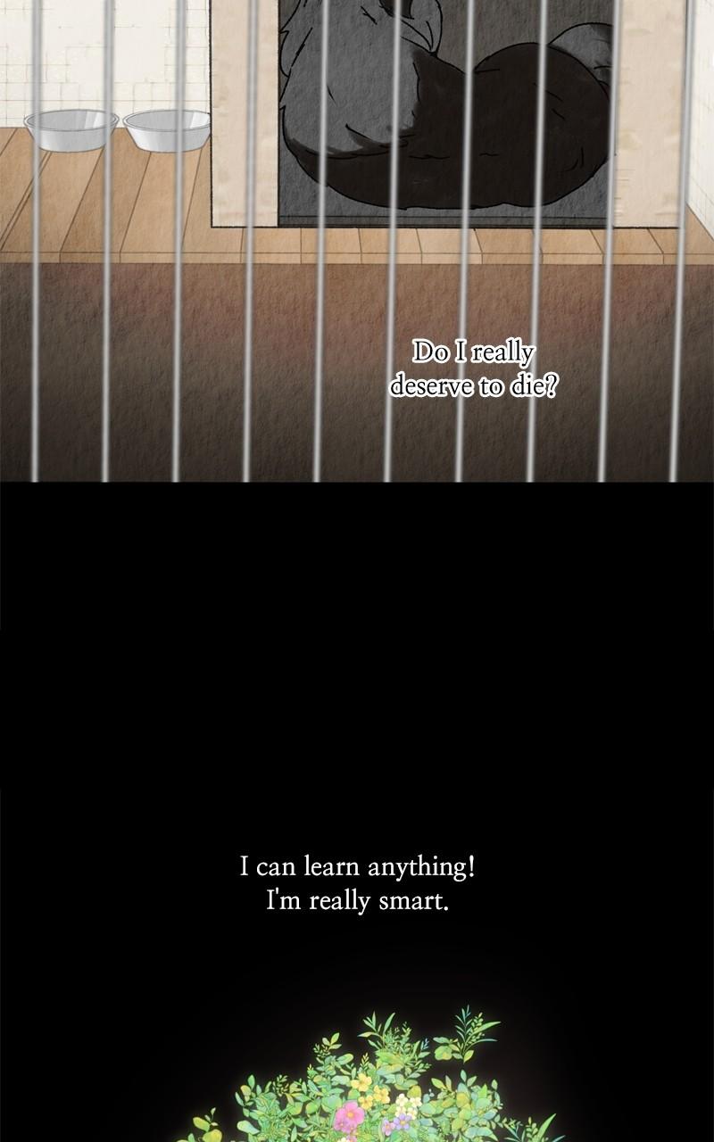 The Dog Diaries Chap 203 - Next Chap 204