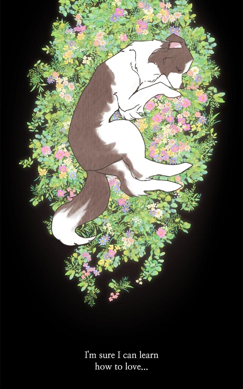 The Dog Diaries Chap 203 - Next Chap 204