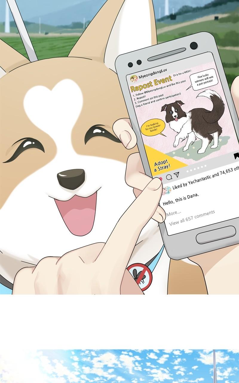 The Dog Diaries Chap 204 - Next Chap 205
