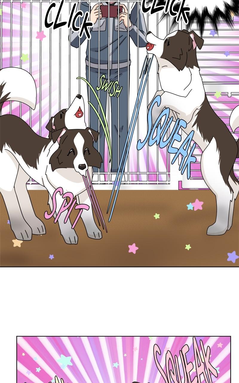 The Dog Diaries Chap 204 - Next Chap 205