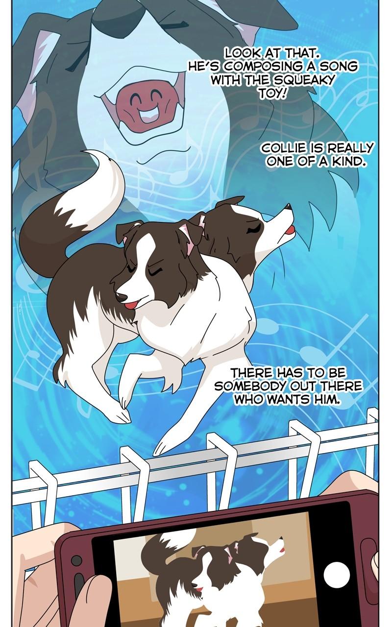The Dog Diaries Chap 204 - Next Chap 205