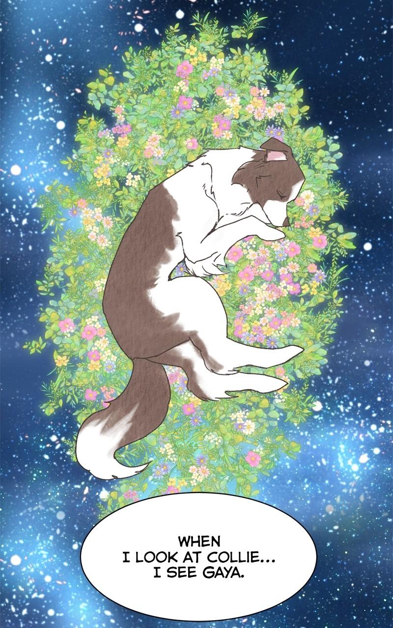 The Dog Diaries Chap 204 - Next Chap 205