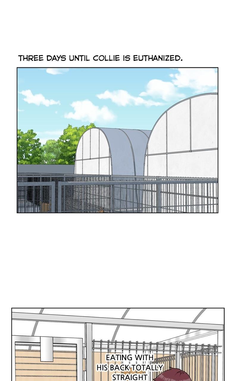 The Dog Diaries Chap 204 - Next Chap 205