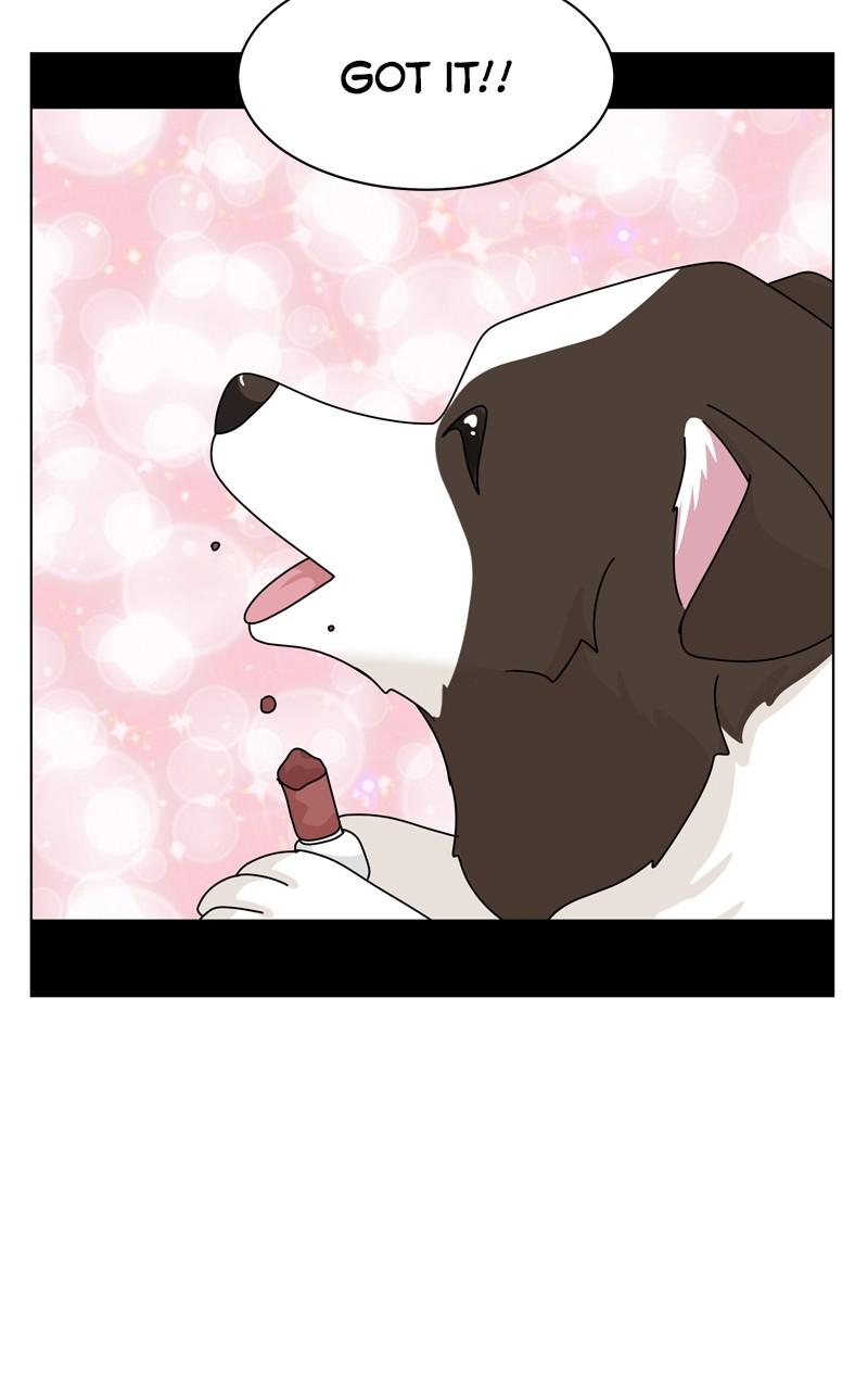 The Dog Diaries Chap 204 - Next Chap 205