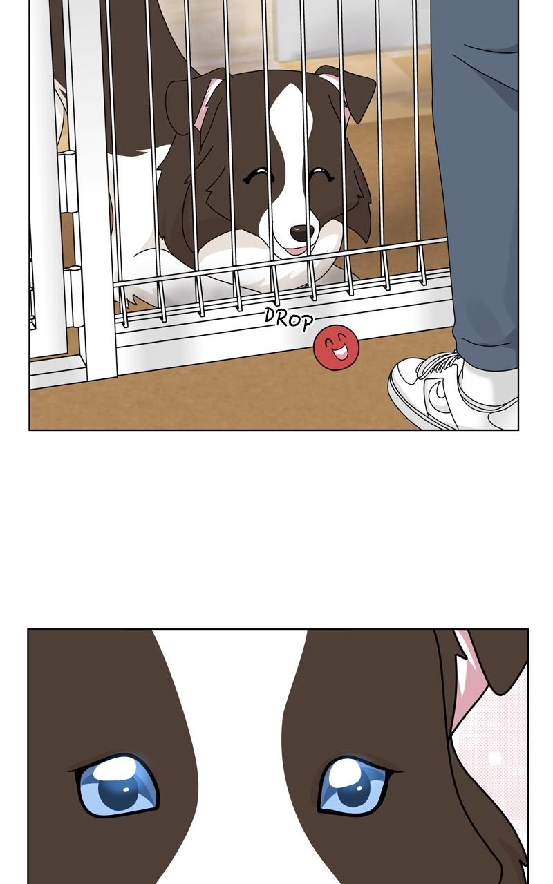 The Dog Diaries Chap 204 - Next Chap 205