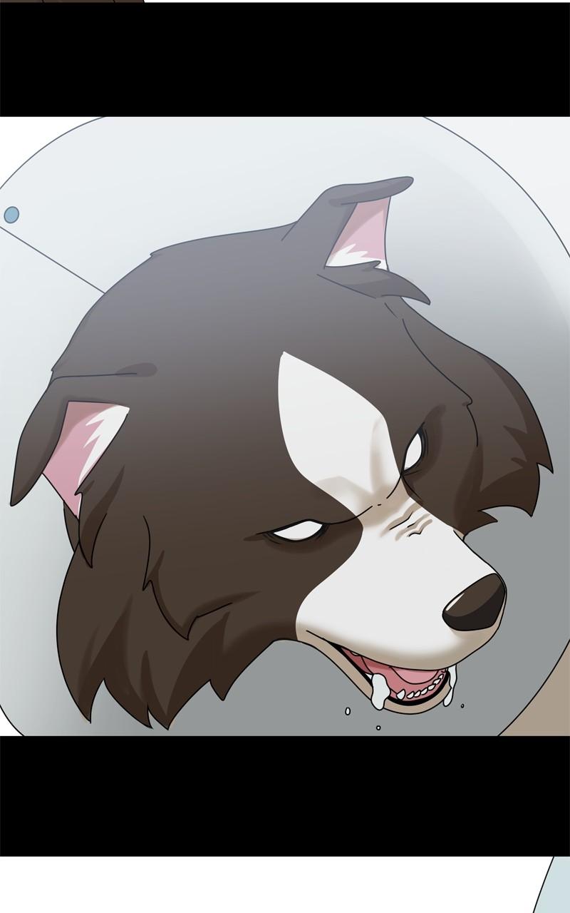 The Dog Diaries Chap 207 - Next Chap 208