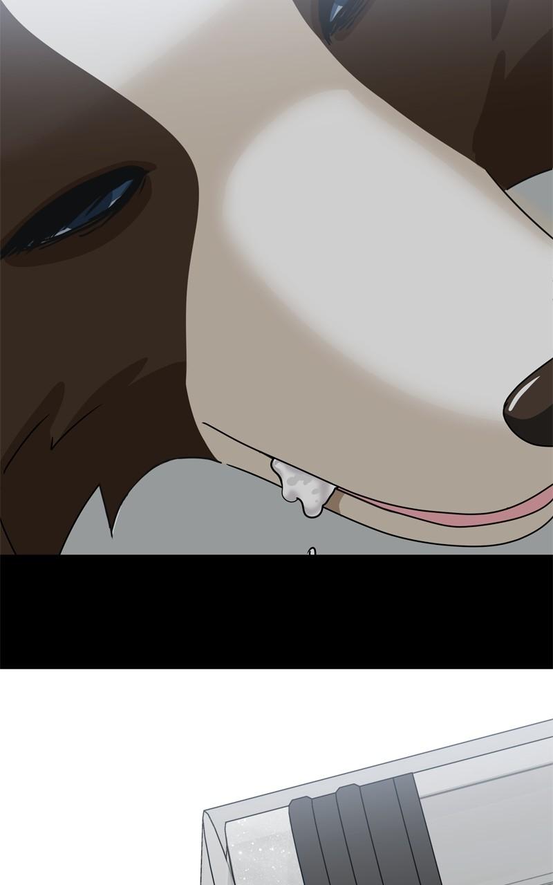 The Dog Diaries Chap 207 - Next Chap 208