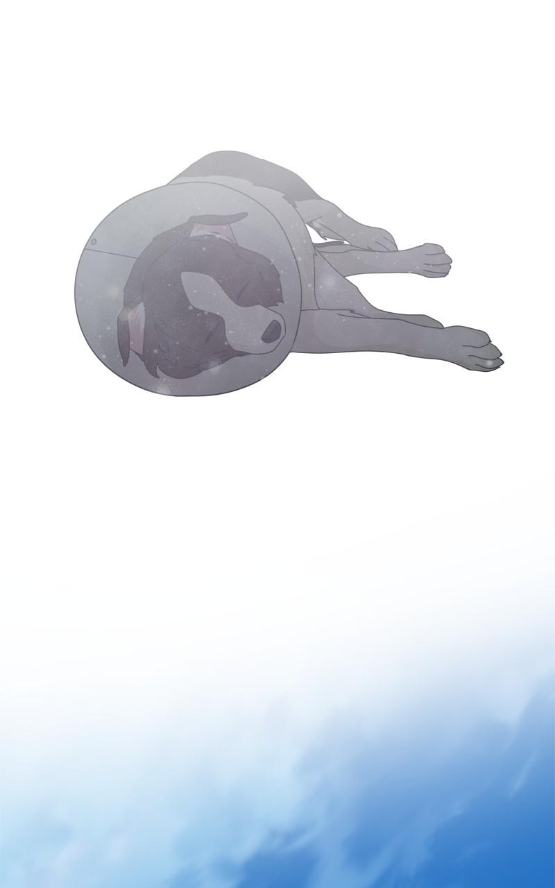 The Dog Diaries Chap 207 - Next Chap 208