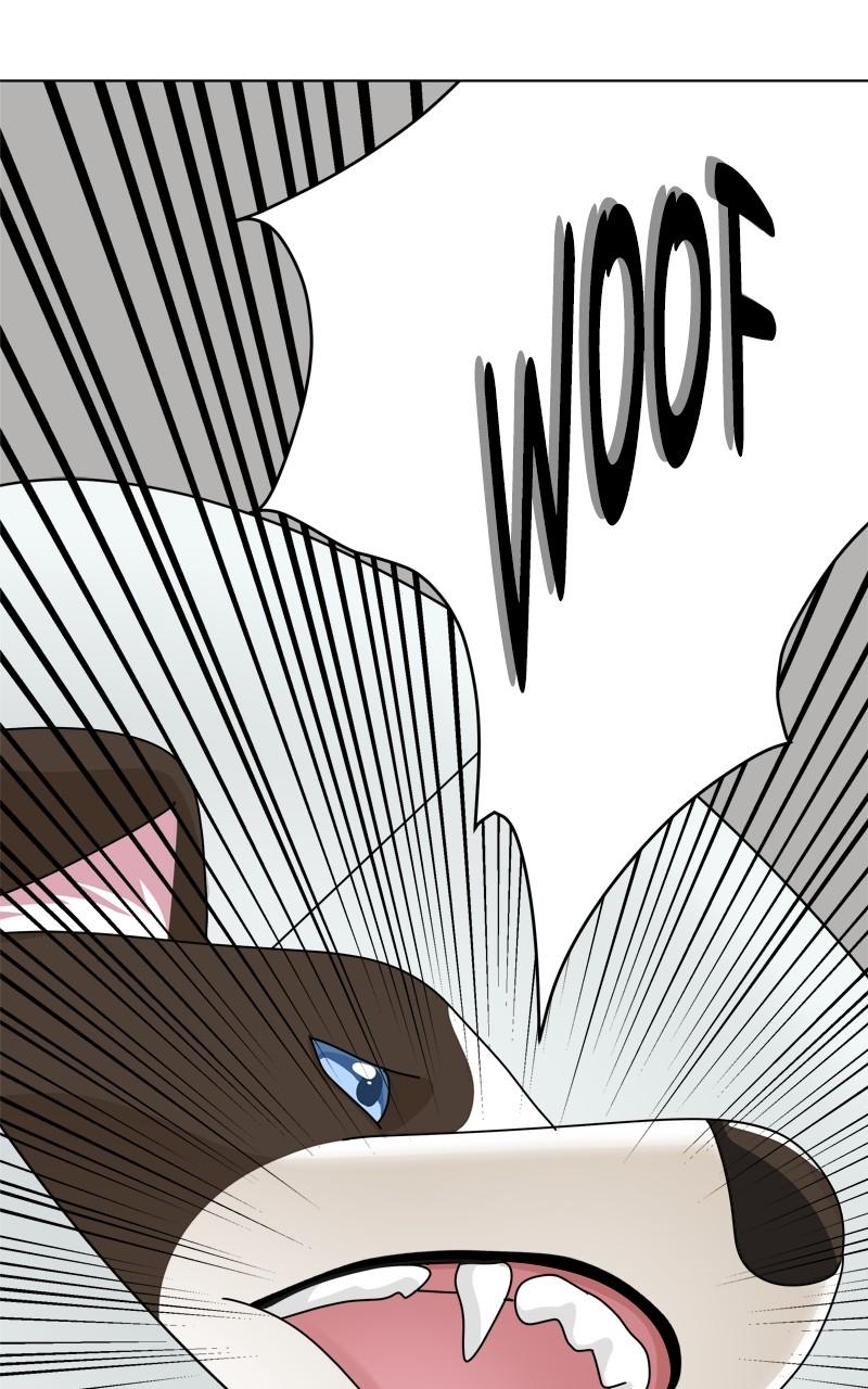 The Dog Diaries Chap 207 - Next Chap 208