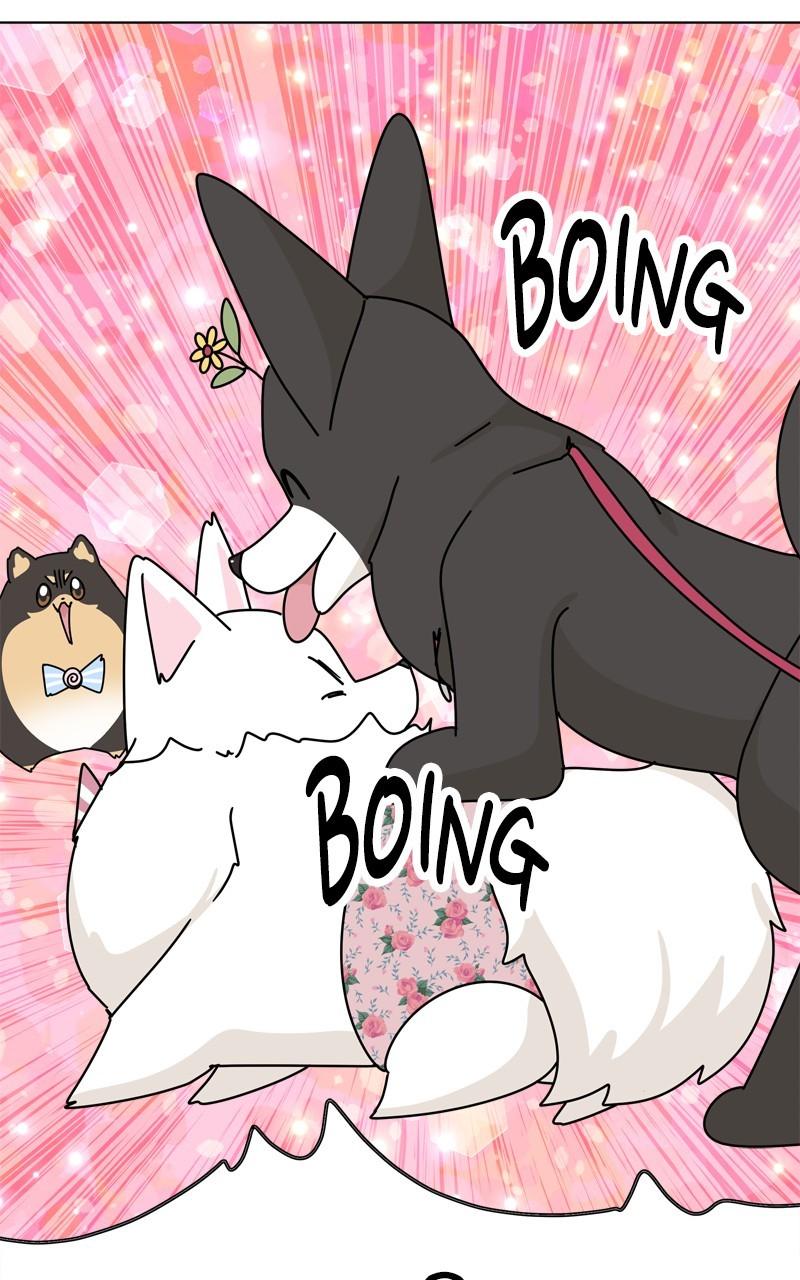 The Dog Diaries Chap 198 - Next Chap 199