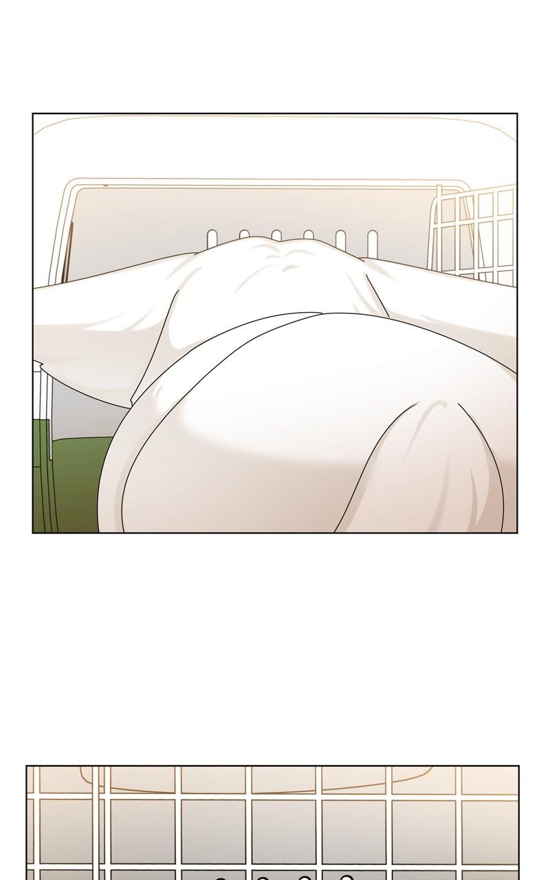 The Dog Diaries Chap 198 - Next Chap 199
