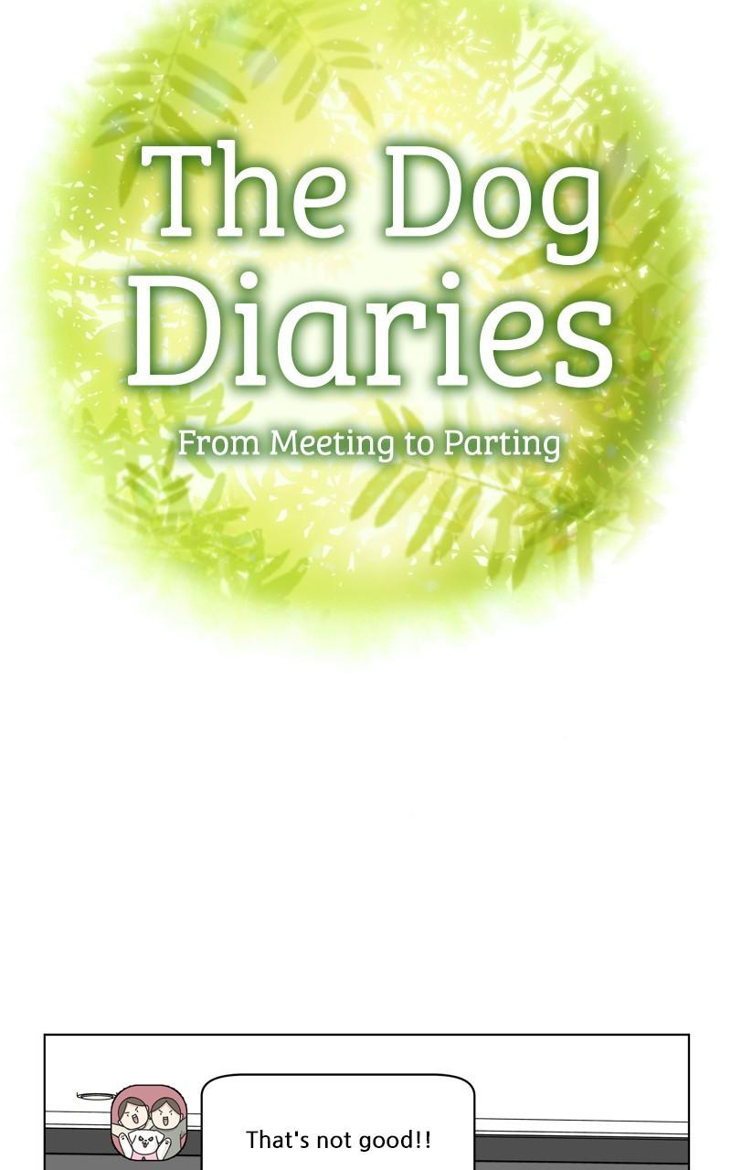 The Dog Diaries Chap 198 - Next Chap 199
