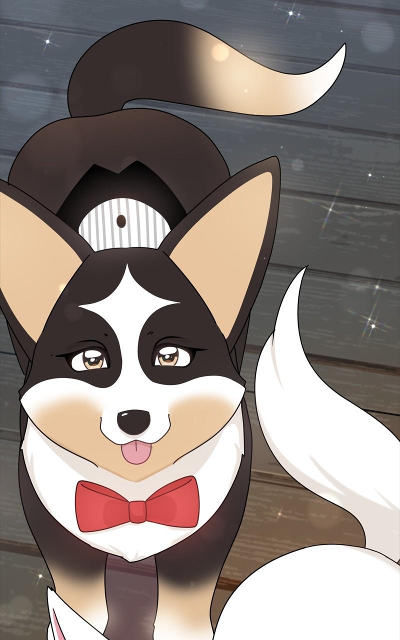 The Dog Diaries Chap 199 - Next Chap 200