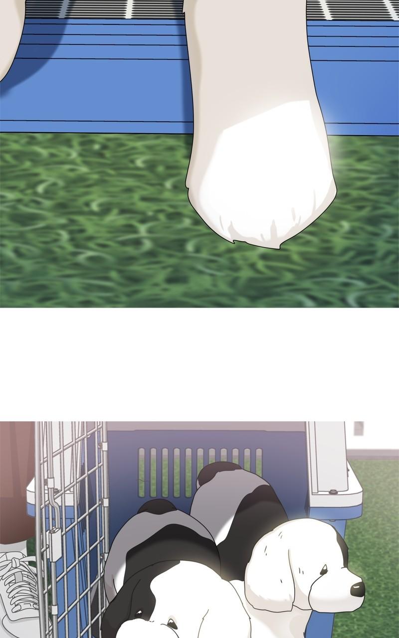 The Dog Diaries Chap 199 - Next Chap 200
