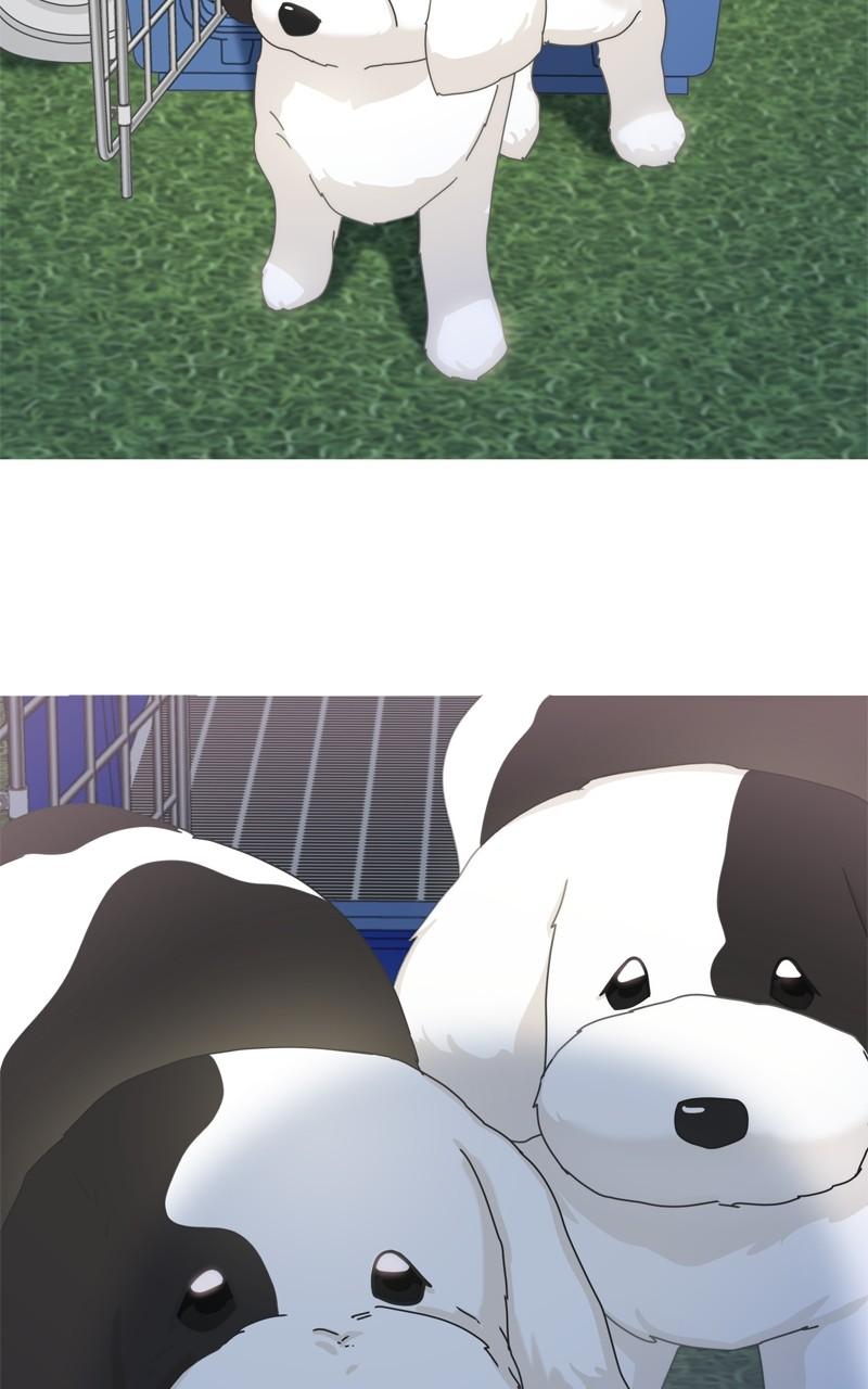 The Dog Diaries Chap 199 - Next Chap 200