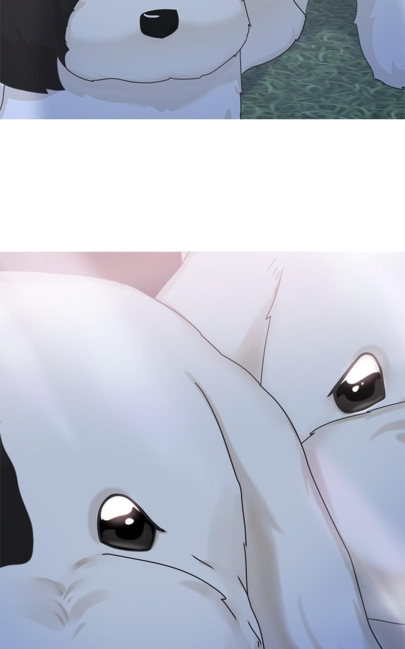 The Dog Diaries Chap 199 - Next Chap 200