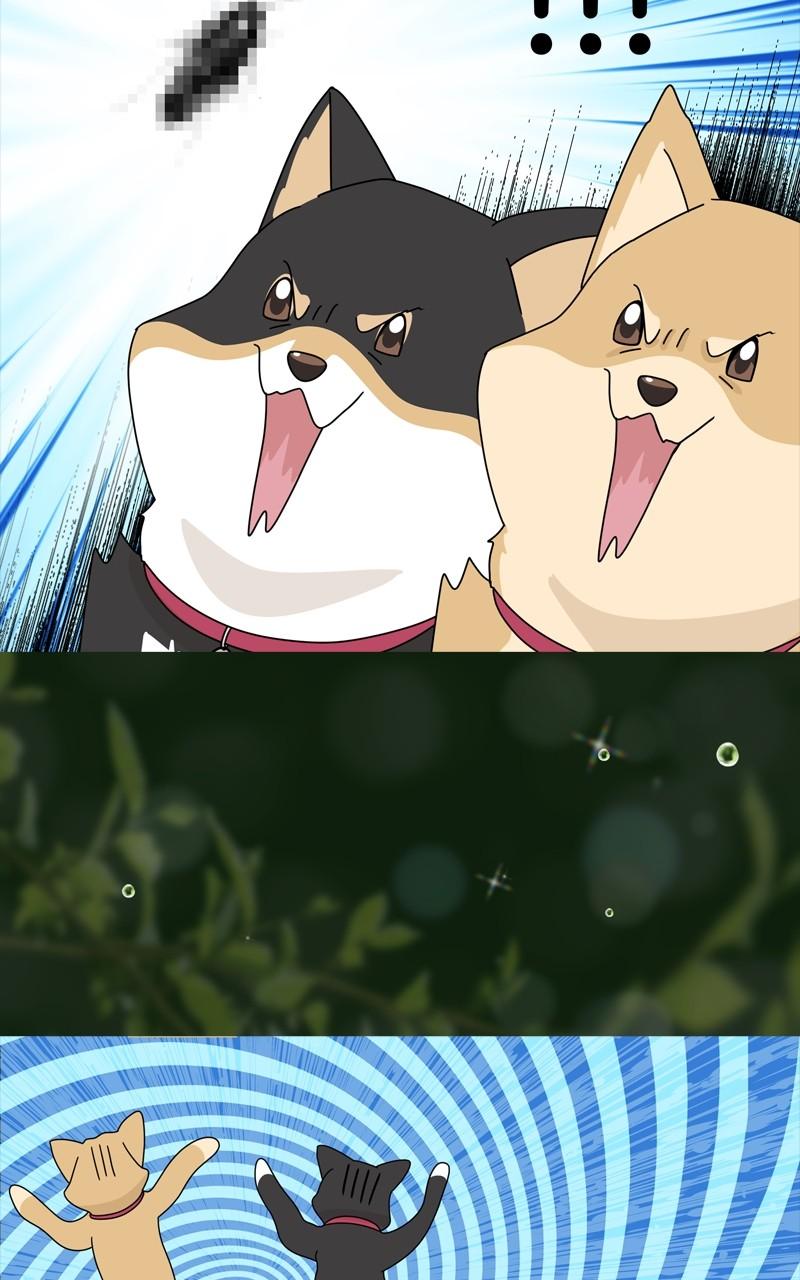 The Dog Diaries Chap 199 - Next Chap 200