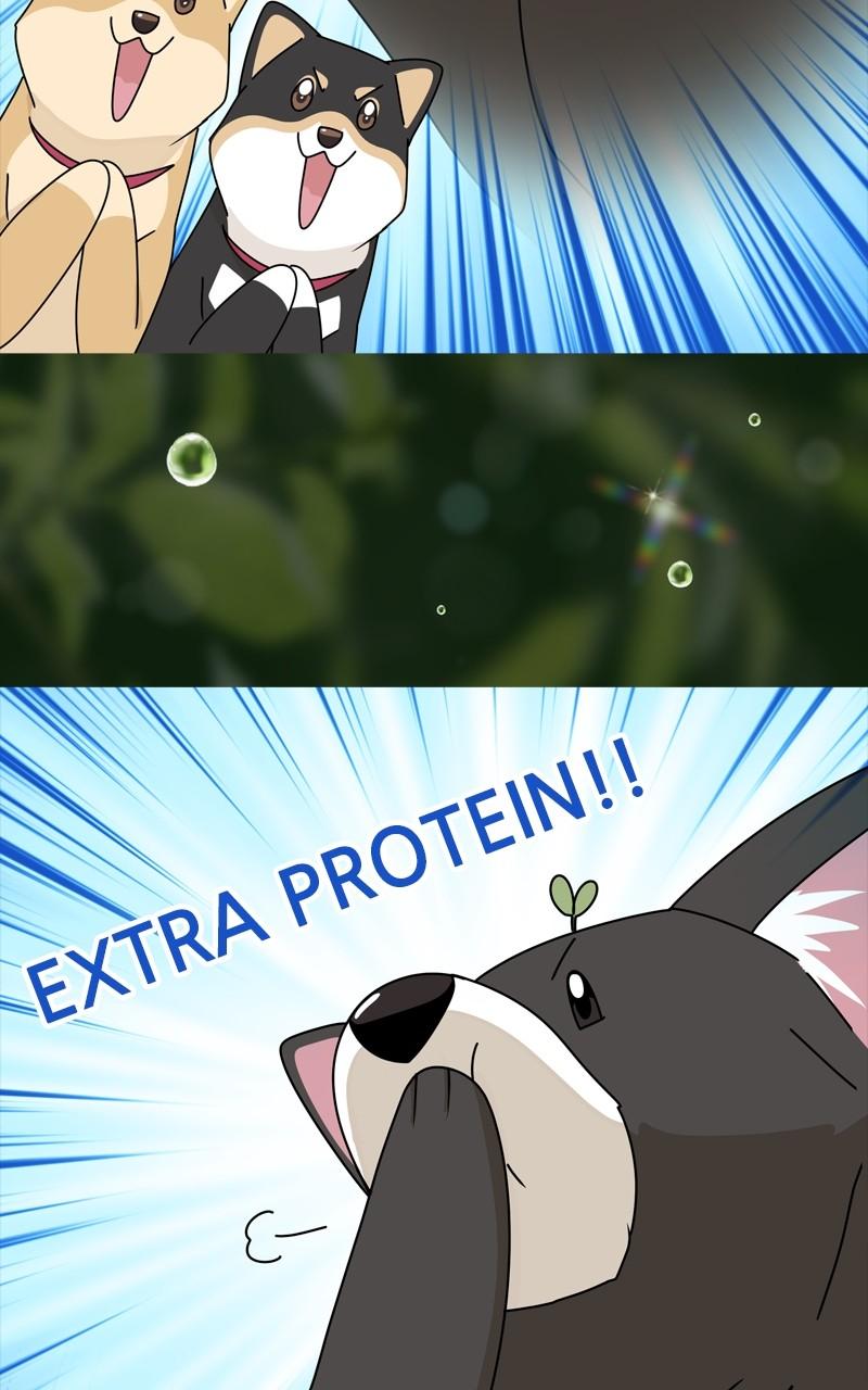 The Dog Diaries Chap 199 - Next Chap 200