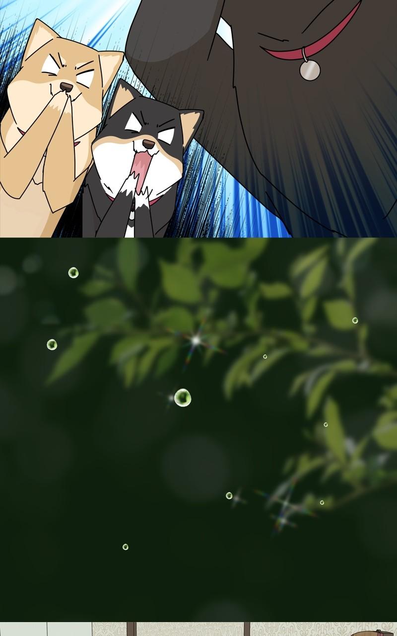 The Dog Diaries Chap 199 - Next Chap 200
