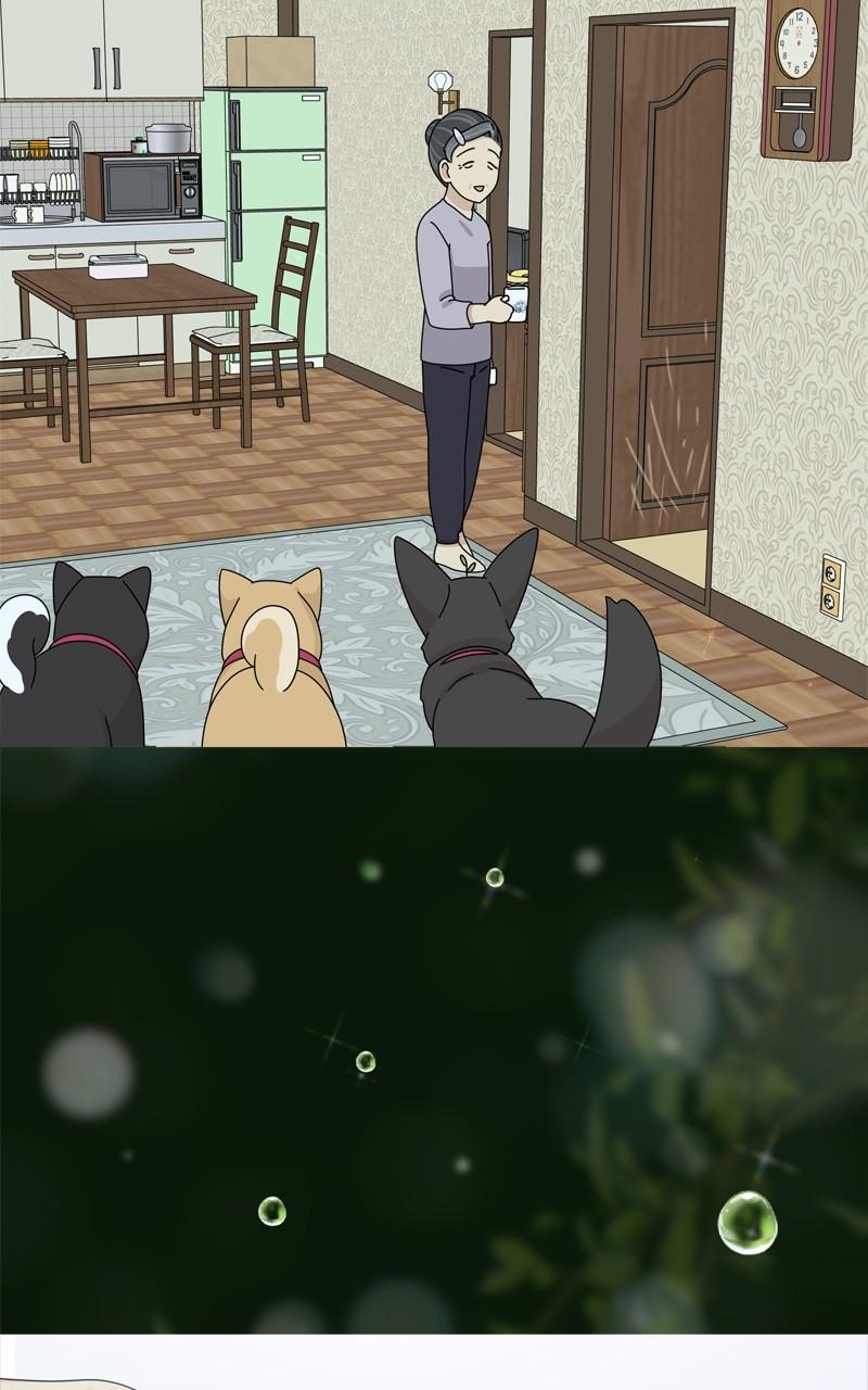 The Dog Diaries Chap 199 - Next Chap 200
