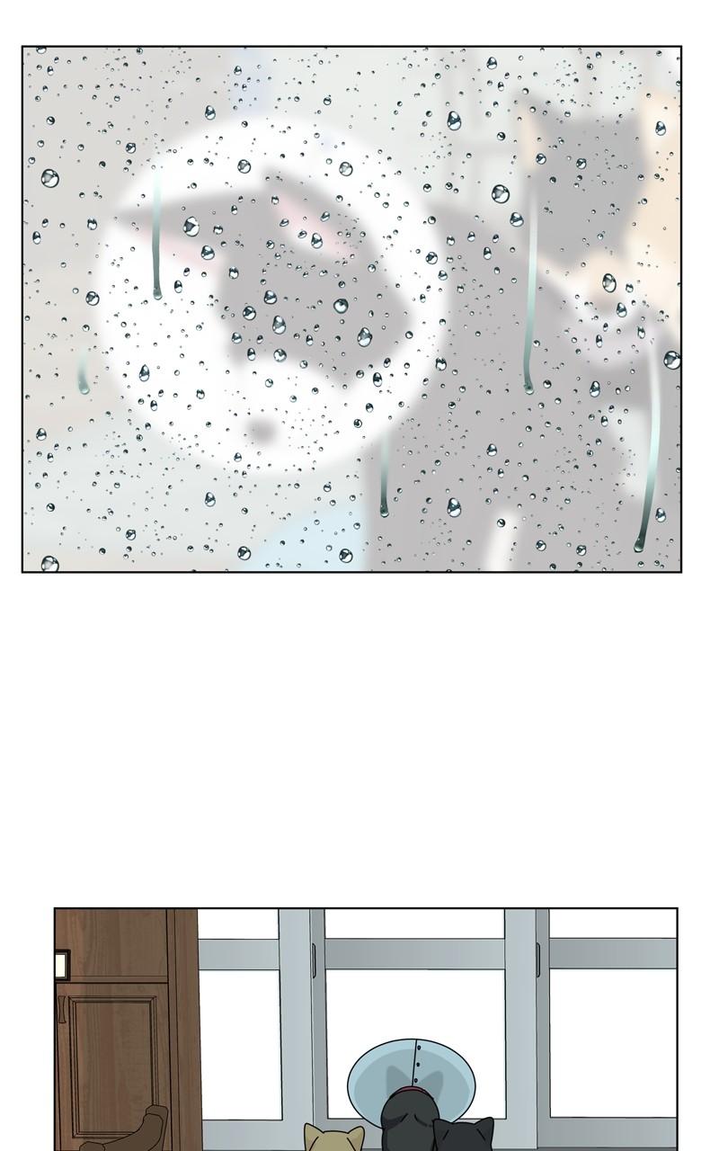 The Dog Diaries Chap 199 - Next Chap 200