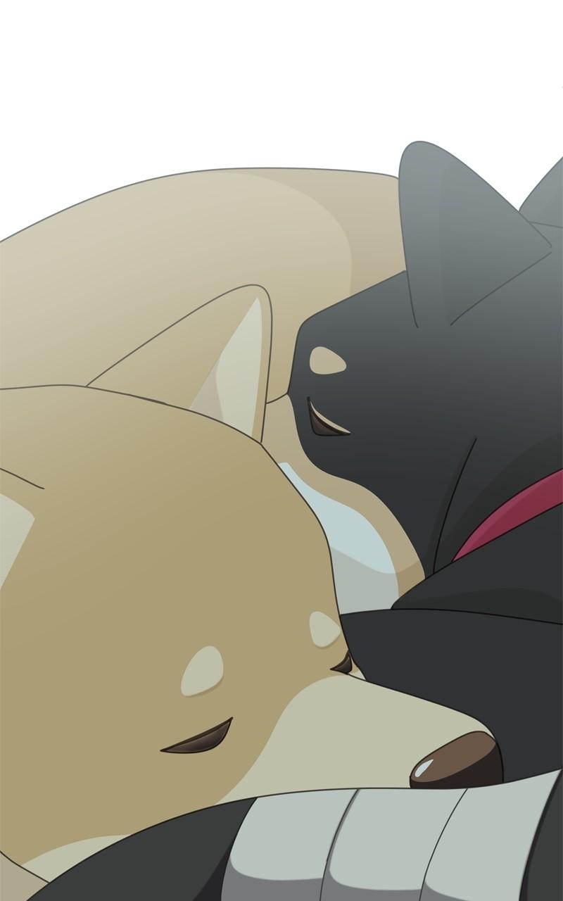 The Dog Diaries Chap 199 - Next Chap 200