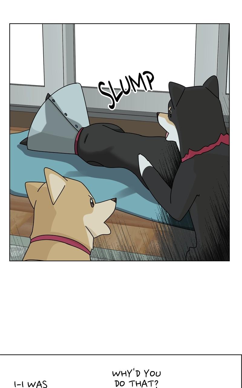 The Dog Diaries Chap 199 - Next Chap 200